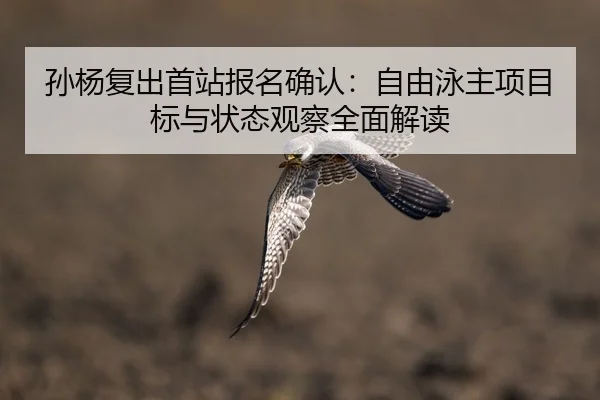 孙杨复出首站报名确认：自由泳主项目标与状态观察全面解读
