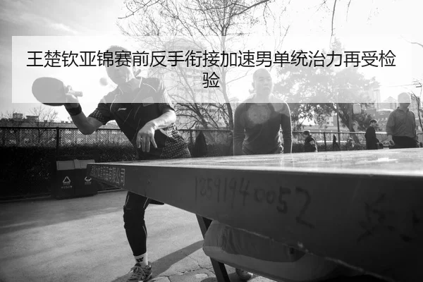 王楚钦亚锦赛前反手衔接加速男单统治力再受检验
