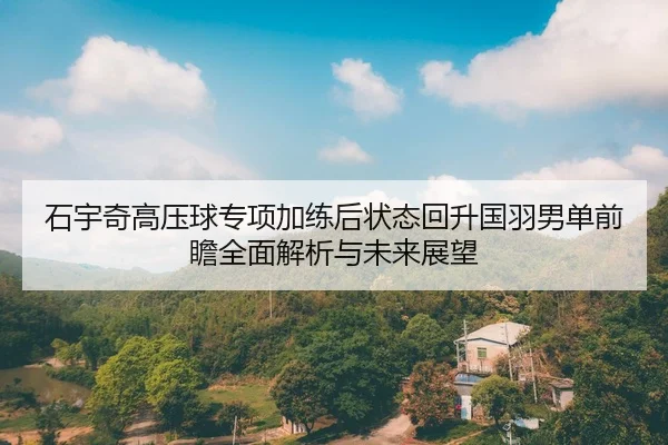 石宇奇高压球专项加练后状态回升国羽男单前瞻全面解析与未来展望